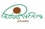 Primavera Avocados